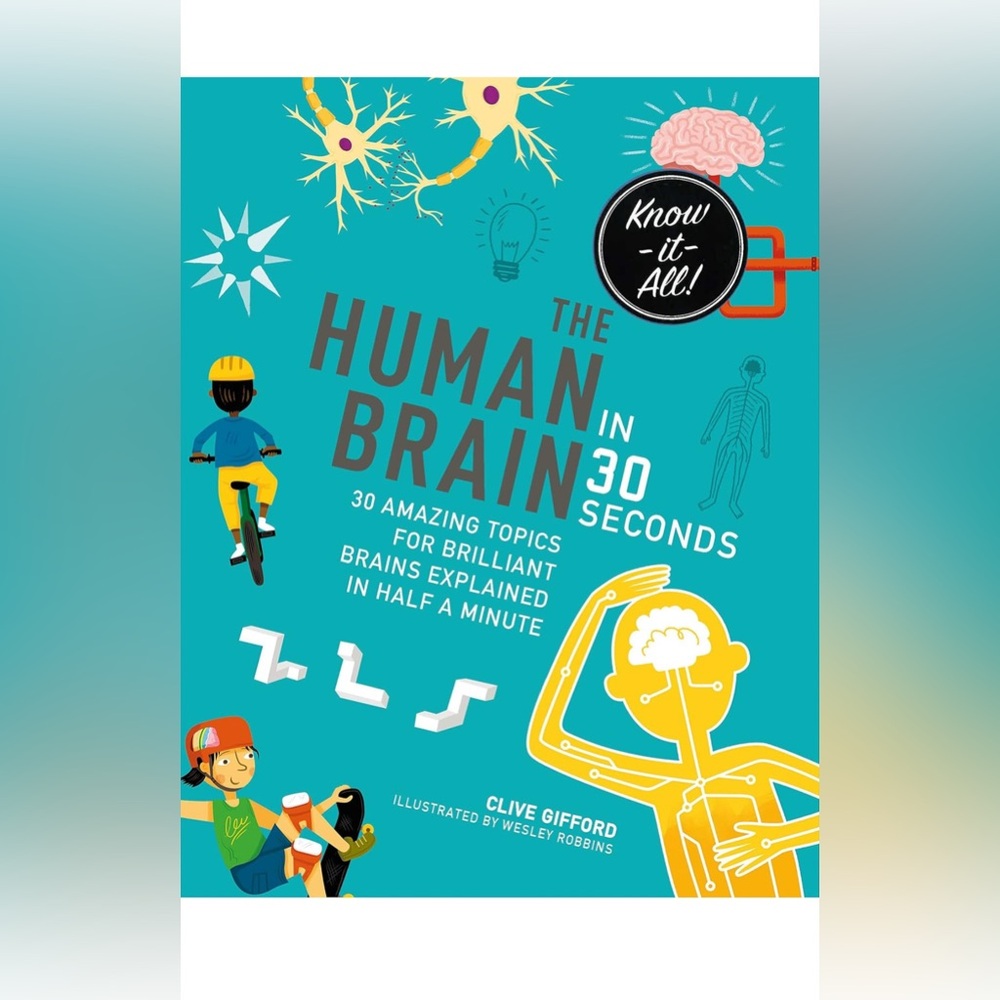 The Human Brain in 30 seconds